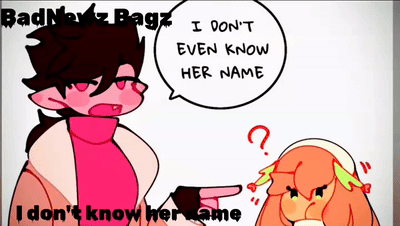 BadNewz Bagz- I don't know her name (music video) 