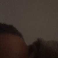 videoPanic_11-36