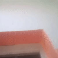 hola Todos