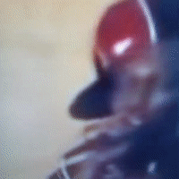skengorangutanswingy