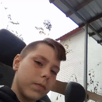 videoNo Mo_16-03