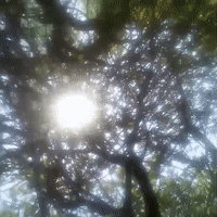 Slim in SHADY trees@ Vistacourt Ca
