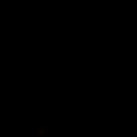 راب الفجيرة 