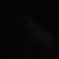 video-Bestie (03:52)