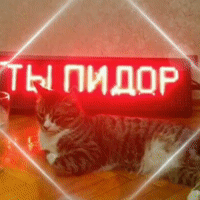 СДОХНИ, МРАЗЬ! ಠ益ಠ