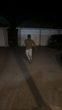 Harlem Shaking 