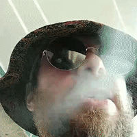 ФРИЗы