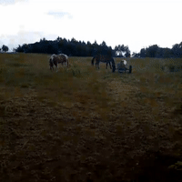videoRompe_18-40