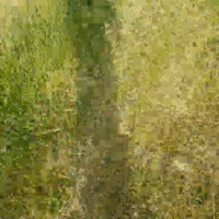 videoRompe_19-03