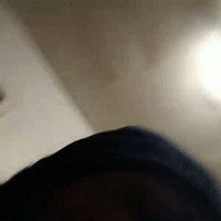 freestyle