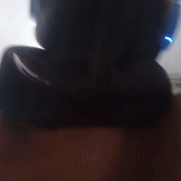 videoBeeme_11-56