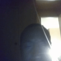 see me shot
