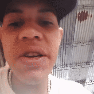 video-Old School  (10:01)