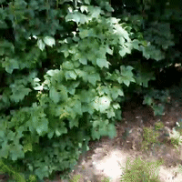 Schönen Tag!