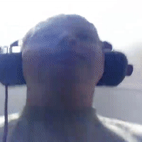 Жиза  