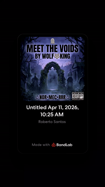 MEET THE VOIDS