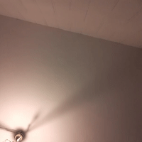 fisysk