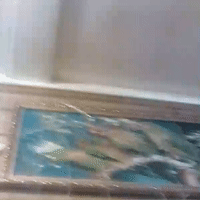 videoPanic_16-32