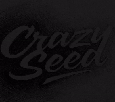 Dark Room Struggles 🖤⚡️| grunge × techno × trap | prod. [CrazySeed]
