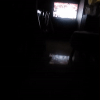 videoGangs_19-01