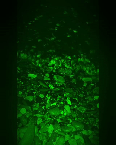 dark time