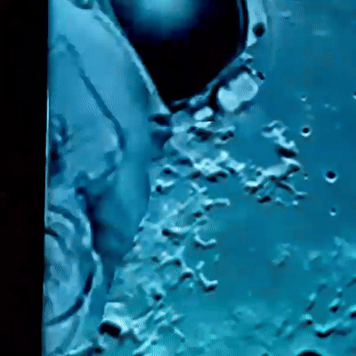 moon touch yu jt n lil alien