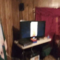 the way I live