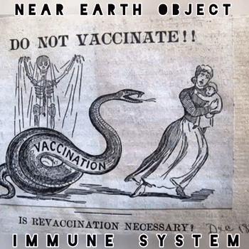 Immune System 