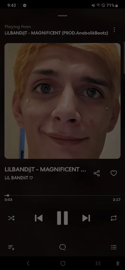 LiL BANDiiT - MAGNIFICENT 