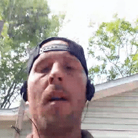 dog fighting take 2