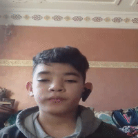 dalma 