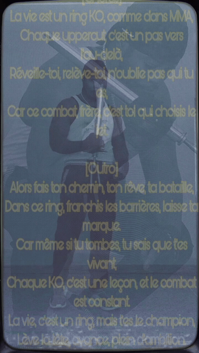La Vie Est un Ring KO 