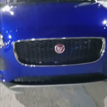 Real Life Shit
