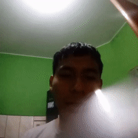 algofeo