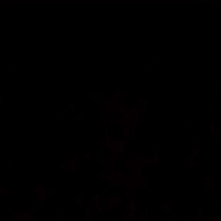 аринал