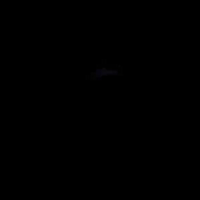 after dark fly away