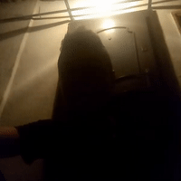 video-DOBERMANN (01:19)
