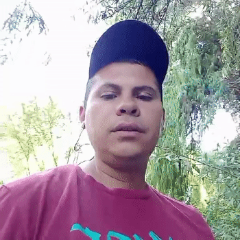 vivo la vida
