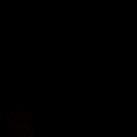 video-Cartel (00:16)