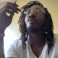 no stylist freestyle 