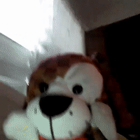 stop ruining my videos