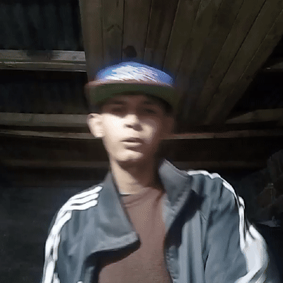 freestaly )aver