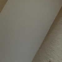 bbbl 