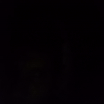 mi garra