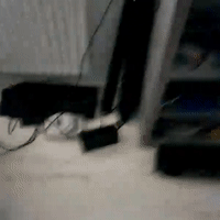Wohltt ihr kuhle gaymplei sehn ?