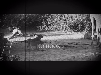 NO HOOK 2 (VISUALIZER)
