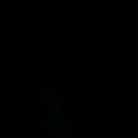 video-Jungle (21:48)
