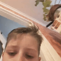 топ