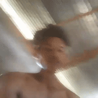 កូនឆ្មា