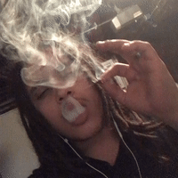 freestyle vid